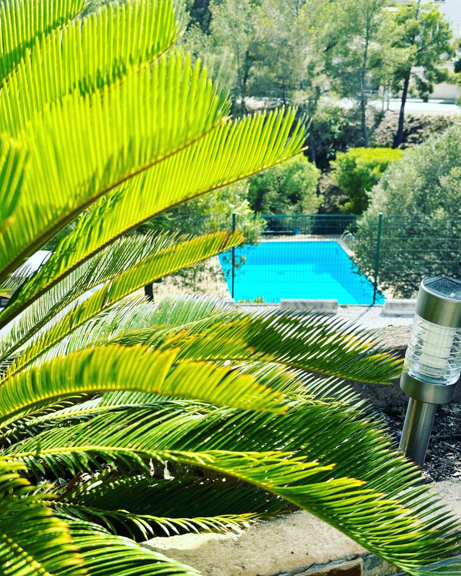 Vuemer Bandol - Grande Terrasse De 45M2 Vue Mer Piscine Parking Екстериор снимка